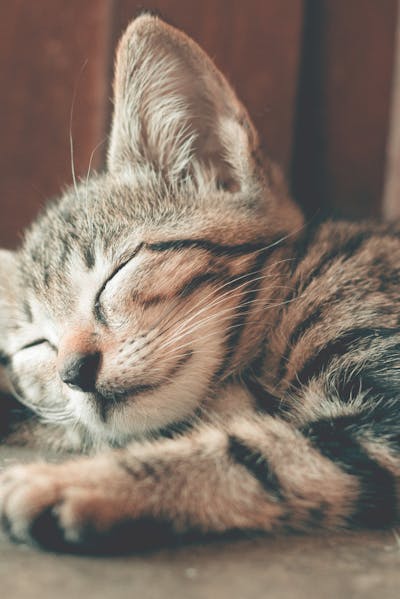 Comment mieux dormir.jpeg